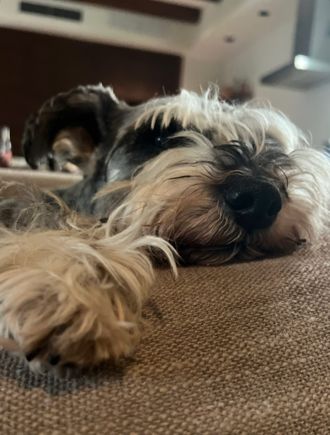 Pasted image 20260322114423.png